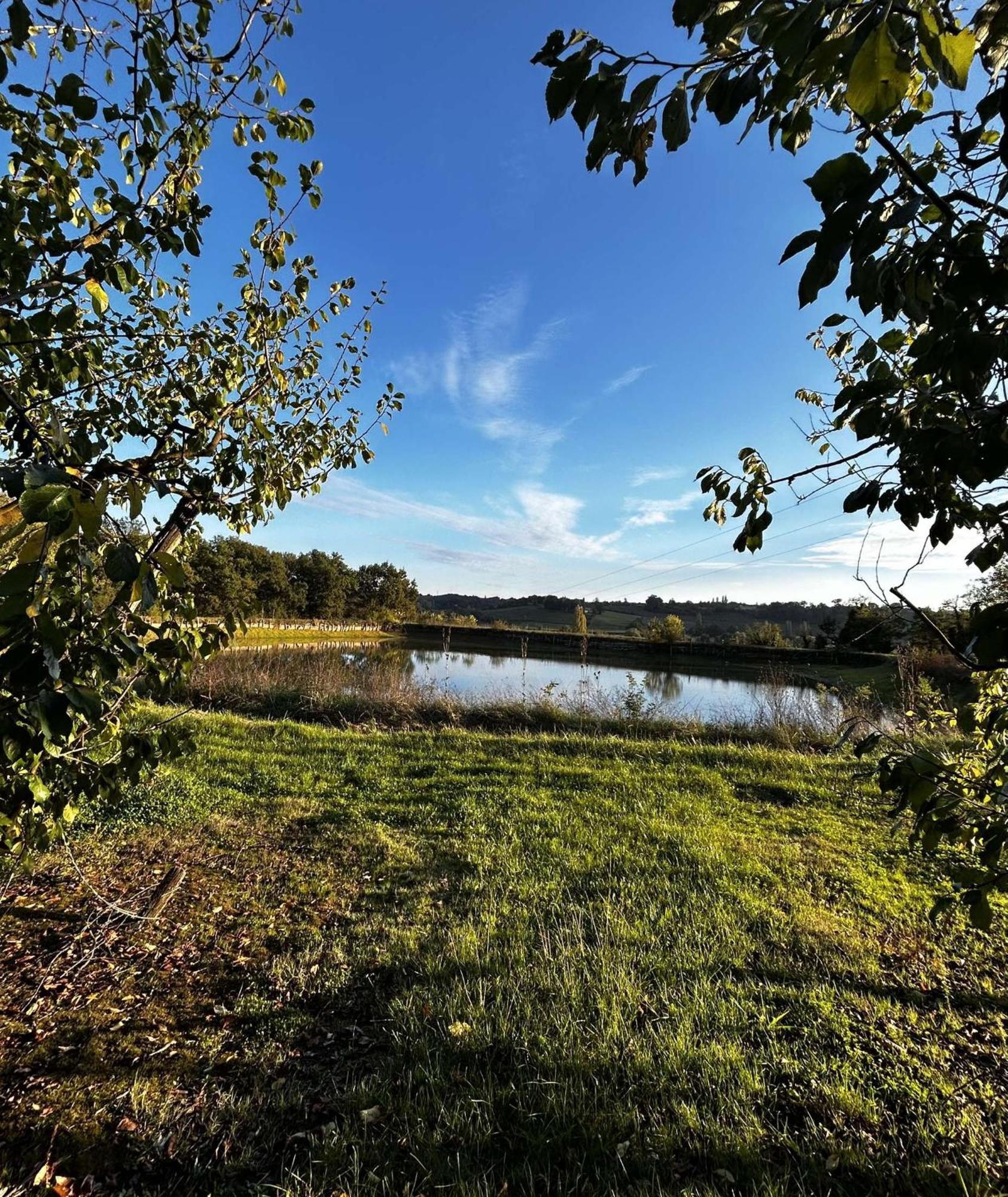Gite La Garrigue Montbarla Eksteriør billede